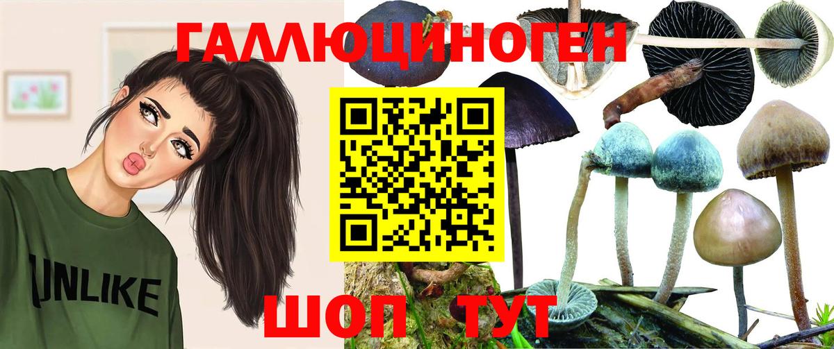 Галлюциногенные грибы Электрогорск