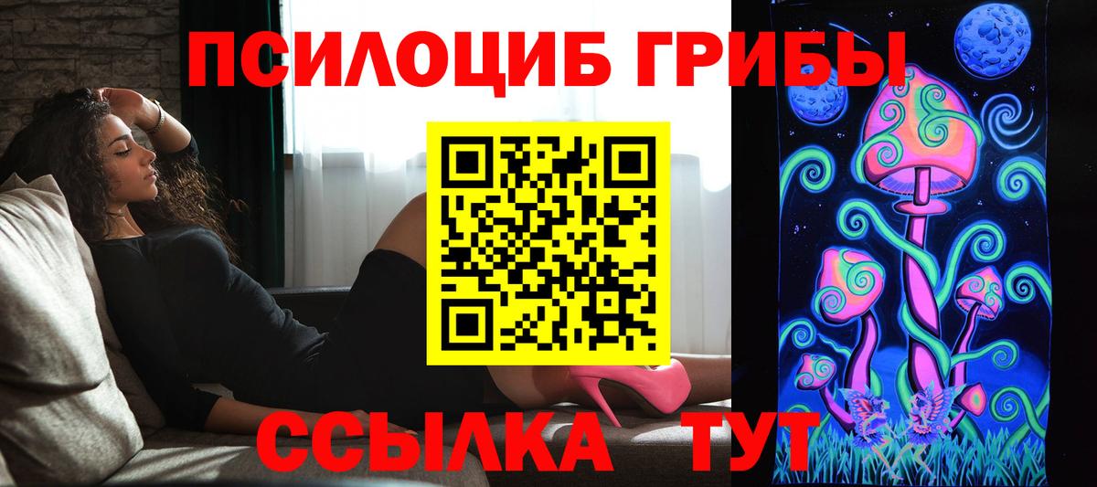 Электрогорск  Псилоцибиновые грибы ЛСД  Вход с VPN  Псилоцибиновые грибы Psilocybine cubensis 